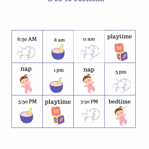 The Ultimate Starting Solids Bundle - Image 4