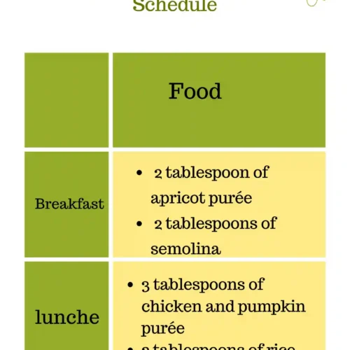 The Ultimate Starting Solids Bundle - Image 3