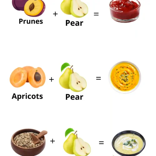The Ultimate Starting Solids Bundle - Image 2
