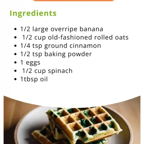The Ultimate Starting Solids Bundle - Image 5