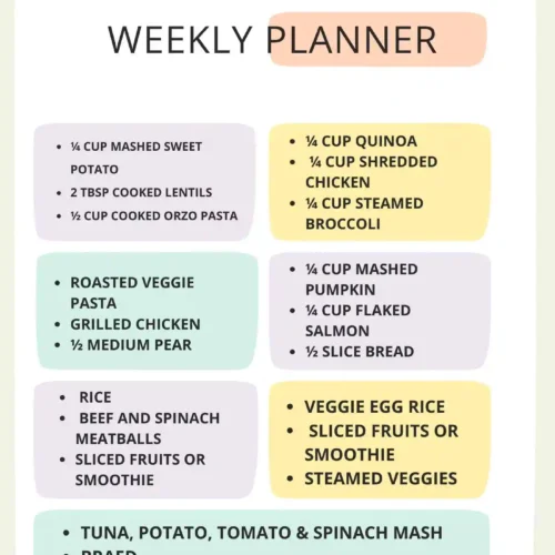 100 Delicious & Healthy Recipes for Your 1-Year-Old - Image 2